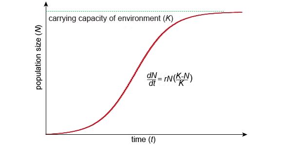 The Problem of the Human Population – Peak Oil Barrel