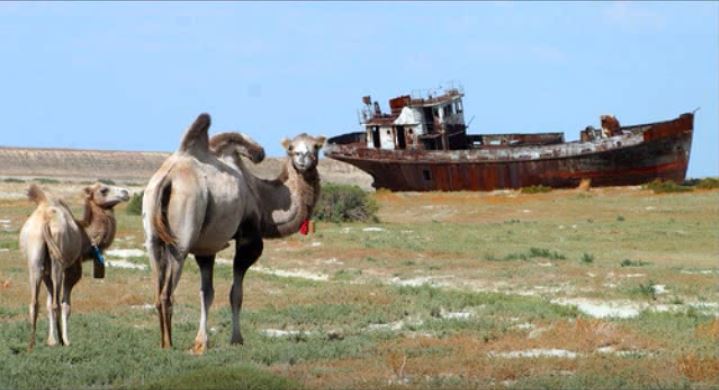 Aral Sea 13