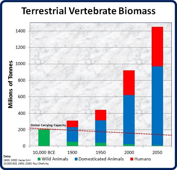 Terrestrial Vertebrate Biomass